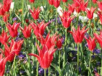 2006.04.24. - 1004 cm - 14.jpg